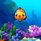 Fish Resort
