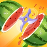 Fruit Slicer