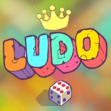 Ludo - 2 Player