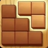Puzzle Wood Block